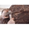 Eurochocolate